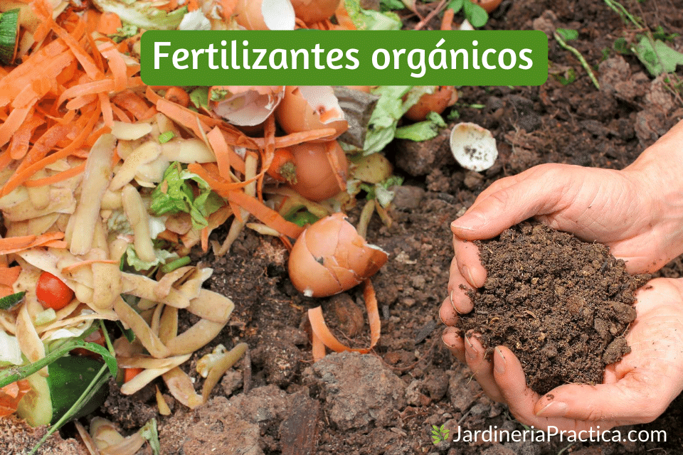Fertilizantes orgánicos
